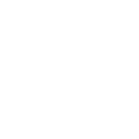 24 24