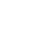 100 100